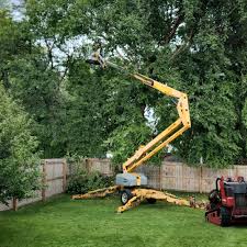 Grass Overseeding in Orono, MN